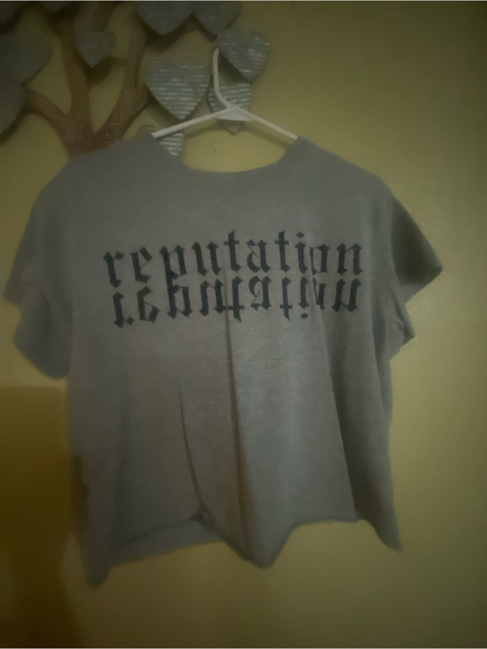 Women's Gray 'Reputation' Graphic Crop Tee